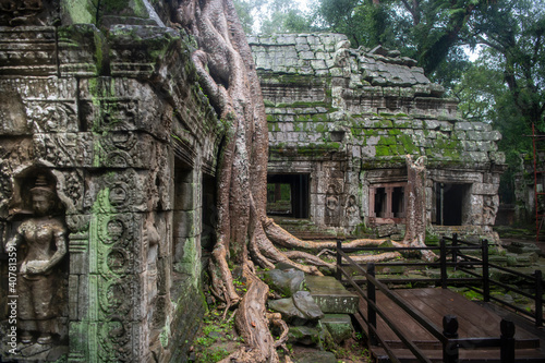       Prohm is the largest temple  it rains in the rainy season.  Restorers spared banyan trees with their aerial roots. 