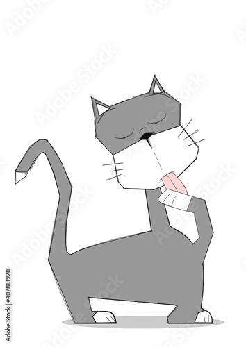 Katze