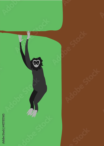 gibbon hanging in a tree