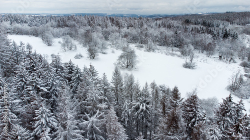 Forest in Siegerland, Middle Germany photo