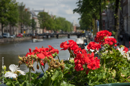 Holland Niederlande Kanal Grachten Brücke rote Blumen Geranien