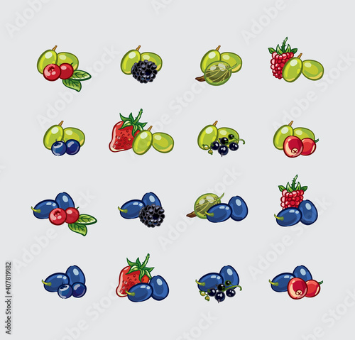 sketch_berry_mix_sixteen_combinations_of_berries_with_grapes