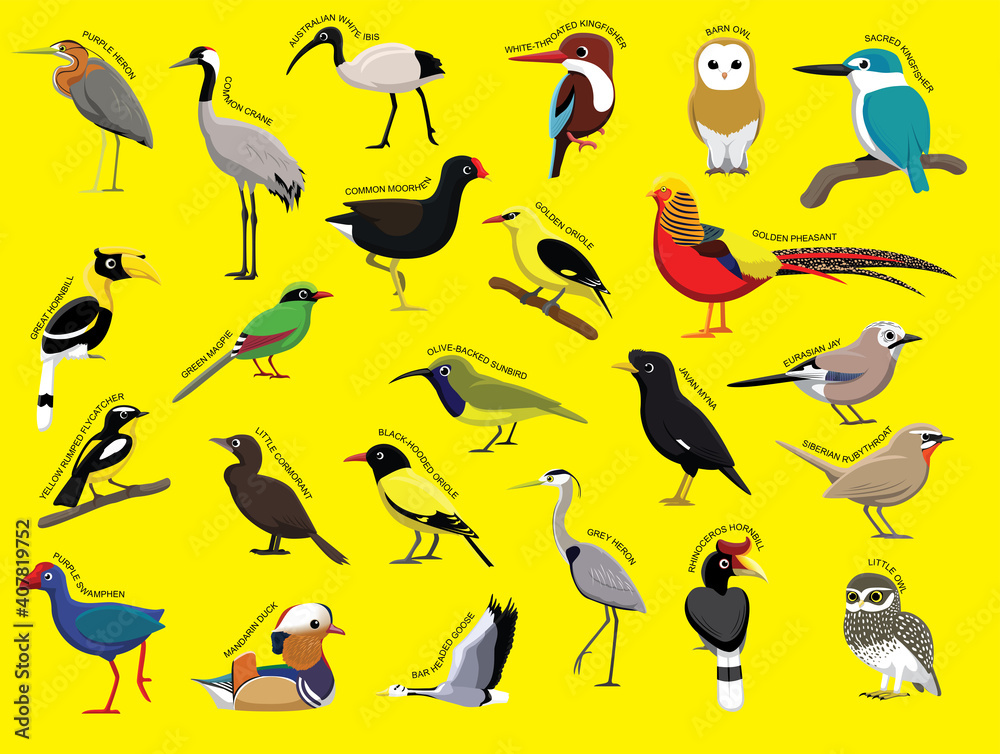 Obraz premium Asian Birds with Name Cartoon Character Set 1