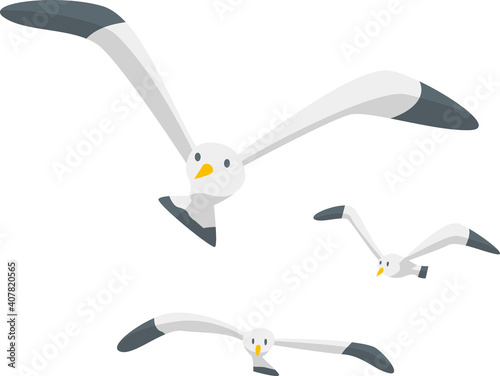 飛んでいる3羽のカモメのイメージイラスト