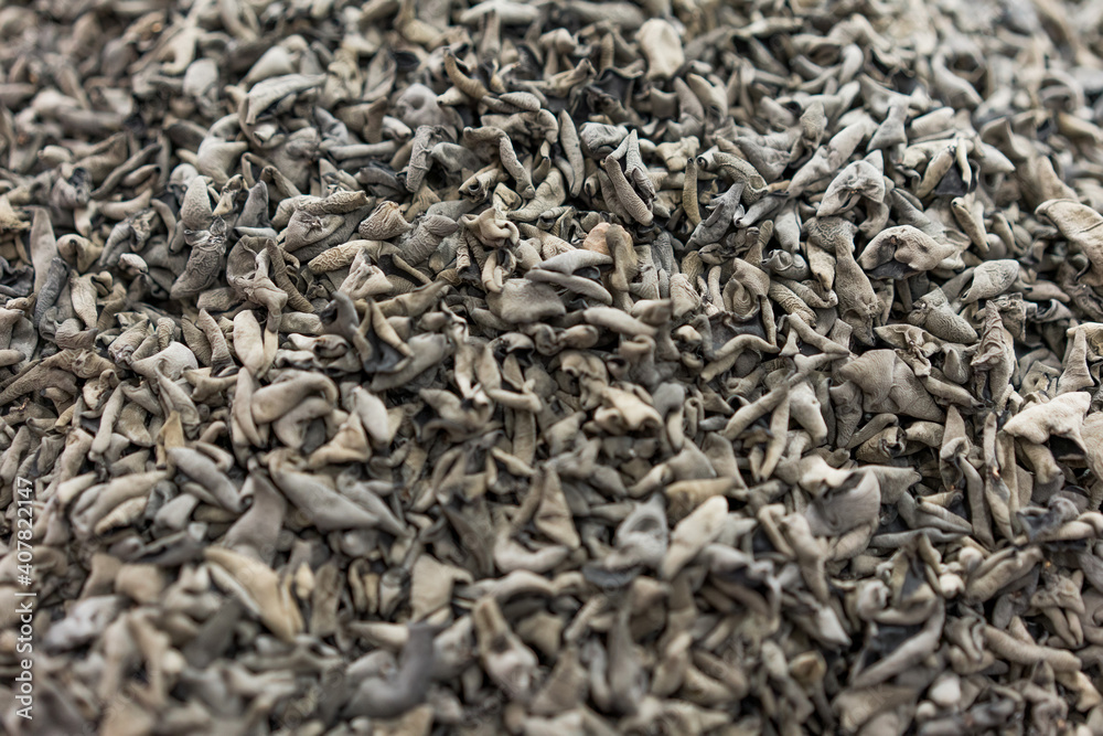 Edible fungus and mushroom in supermarket Edible fungus and mushroom in supermarket