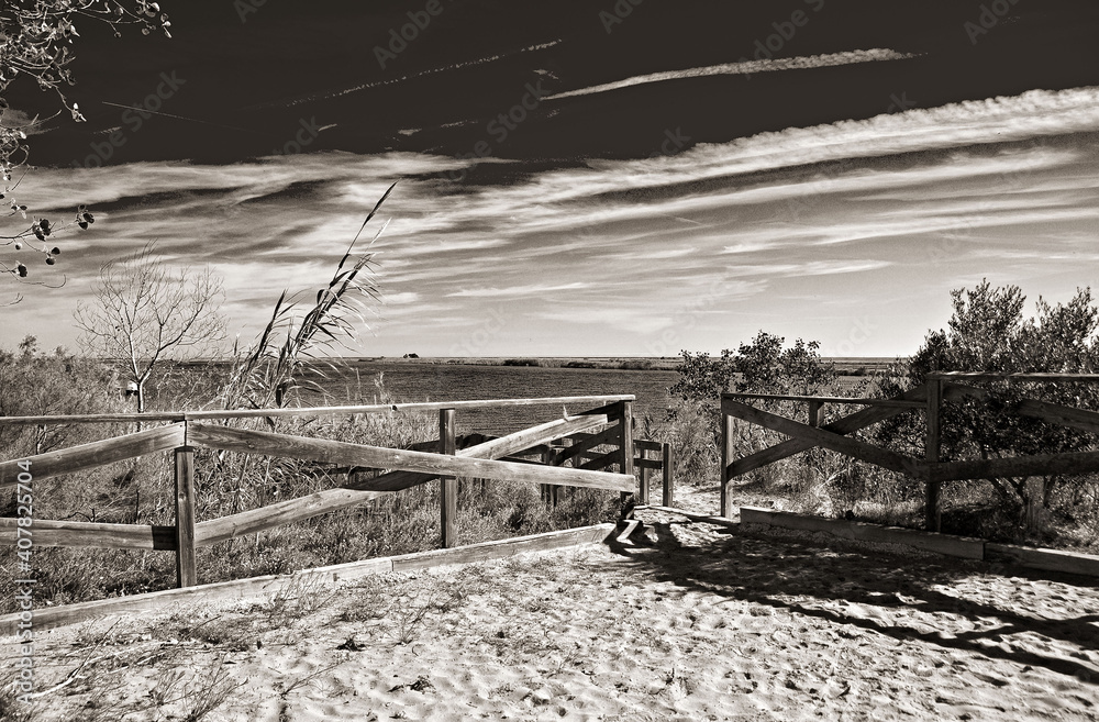 Fototapeta premium Delta del Ebro. Recorrido por los arrozales y la desembocadura del Ebro