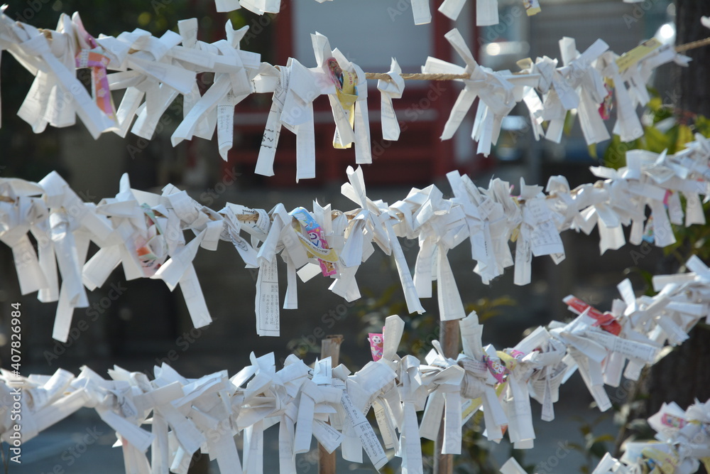 Fototapeta premium 神社