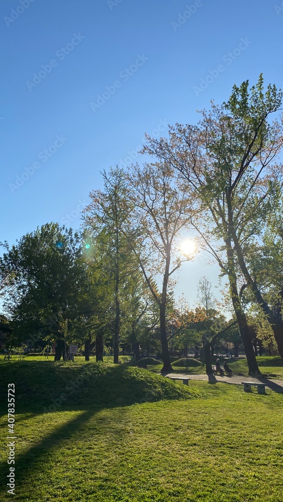 Obraz premium 公園の景色01