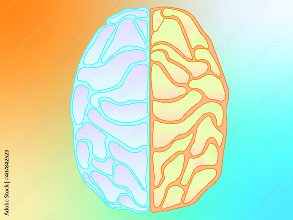 two side of brain in color show function art and math