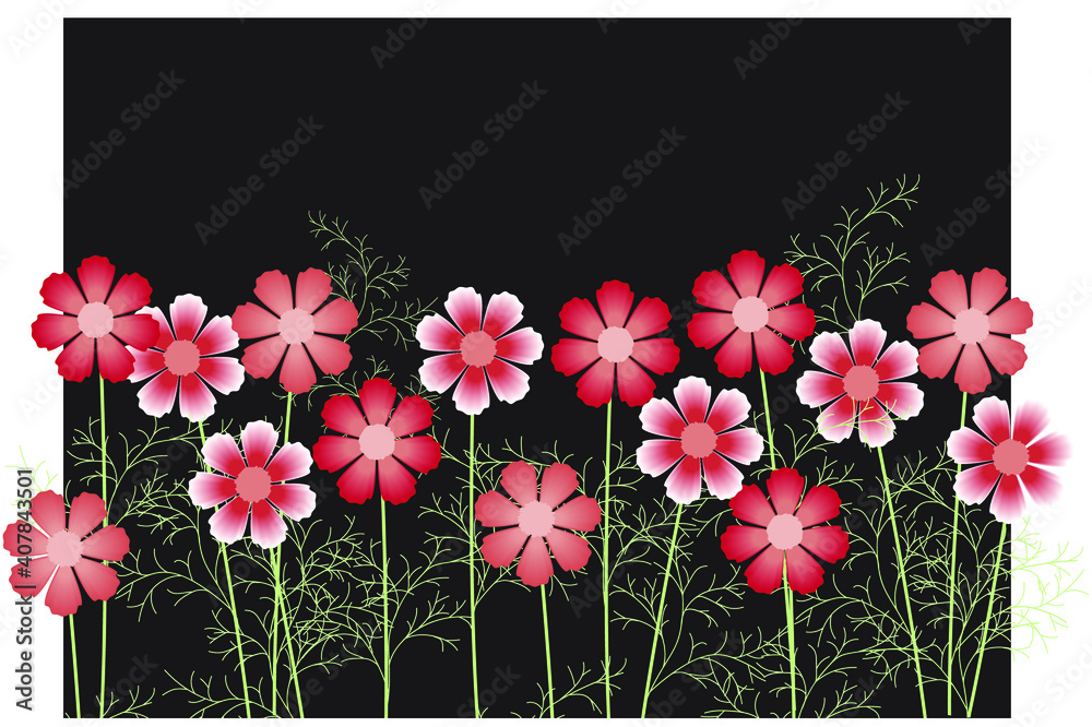 Obraz premium Horizontal curb of red flowers on the background of a black rectangle