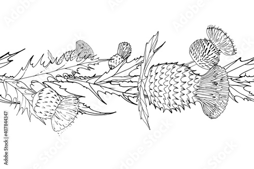 brush with flowers of thistle. Scottish Thistle isolated on white, vector illustration. Template for invitation, poster, flyer, banner, etc.
