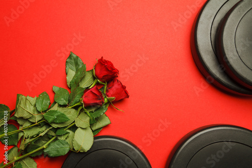 Dumbbell weight plates and red roses on red background with copyspace. Valentine's Day fitness flat lay composition.