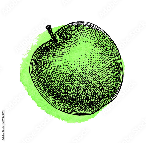 Ink sketch of apple.