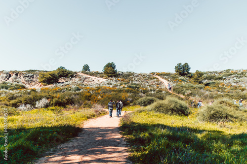 Ness Ziona National Park, Israel photo