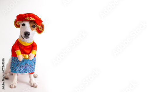 Jack russell terrier dog with Chinese costume god of fortune