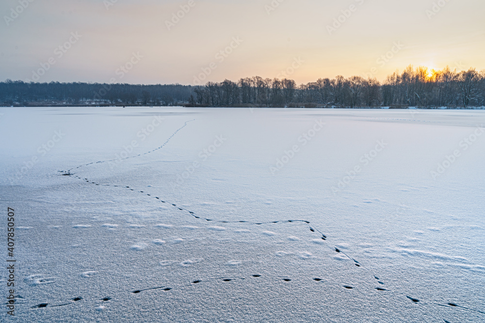 Trails of some animal on frozen lake.
