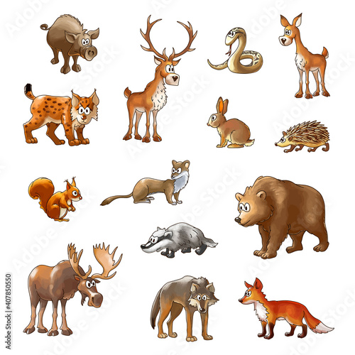 set of wild wood animals, color cartoon animals on a white background, vector