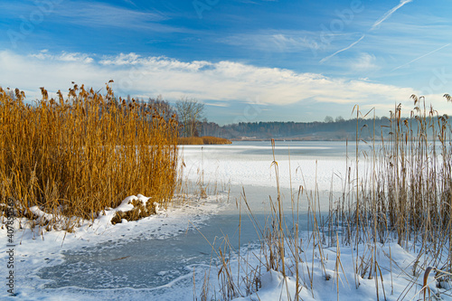 Entrance to the frozen lake with a snow and reed at first plan. Beautiful winter sky above.