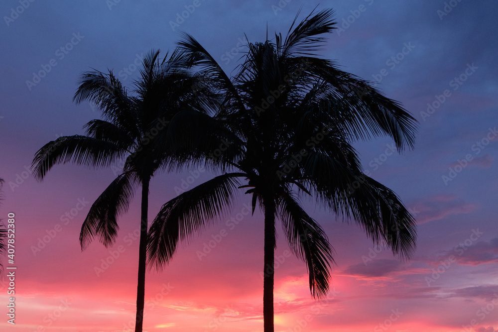 palms at the sunset, vibrant red sky