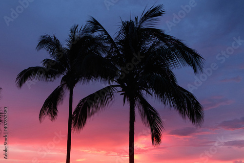 palms at the sunset, vibrant red sky