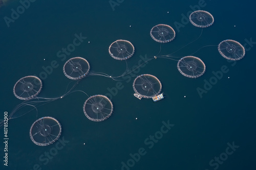 Fish farm salmon round nets in natural environment Isle of Skye Scotland photo