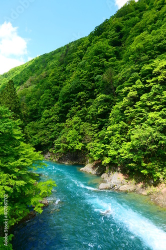 新緑の抱返り渓谷。仙北、秋田、日本。５月下旬。