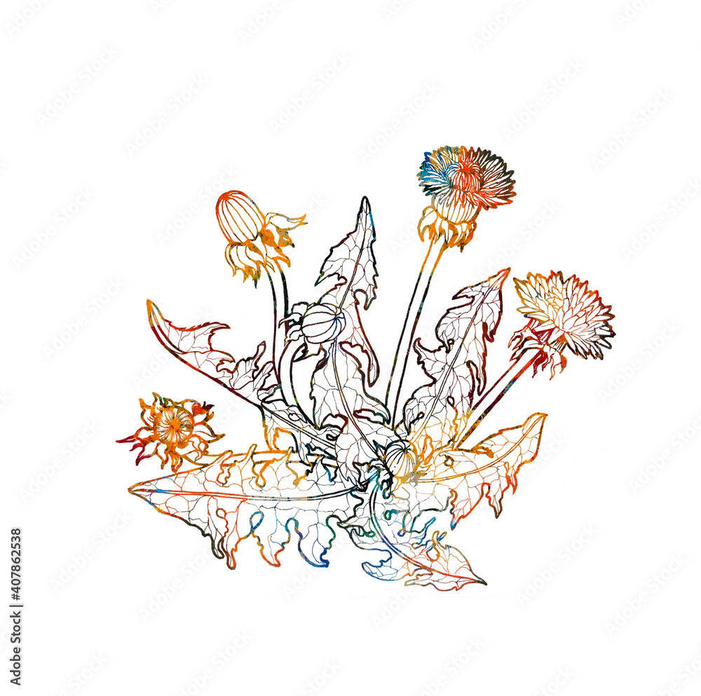 Dandelion flowers, buds and leaves. Graphic arts. Decorative composition. Wallpaper. Use printed materials, signs, posters, postcards, packaging.