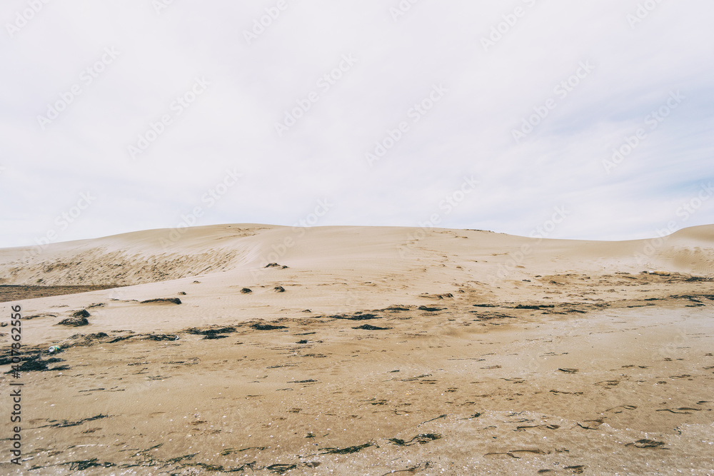 Lonely dunes in the Ebro delta, Tarragona, Spain. Lonely dunes in the Ebro delta, Tarragona, Spain.