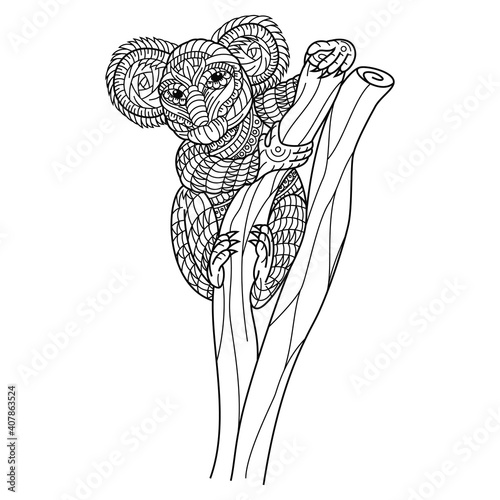 Hand drawn of koala in zentangle style