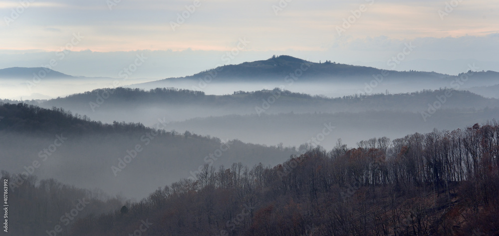 Foggy winter landscape with trees
