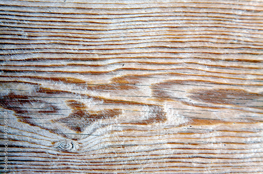 Detalle de una tabla de madera con vetas marrones y blancas con textura.  Stock Photo | Adobe Stock