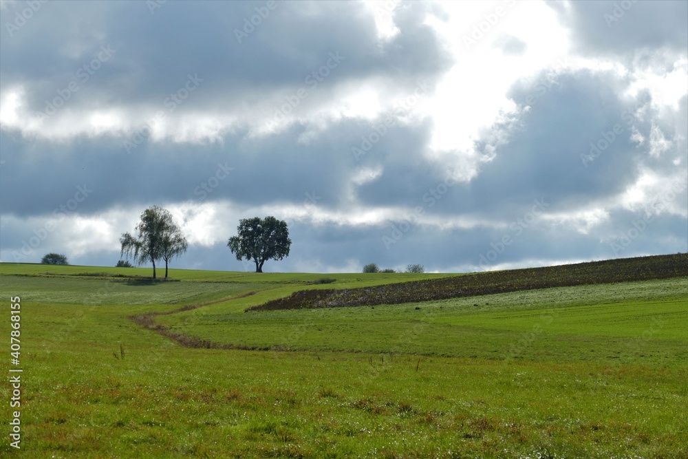 Grüne Felder mit zwei Bäumen im Hintergrund und Wolkenhimmel Grüne Felder mit zwei Bäumen im Hintergrund und Wolkenhimmel
