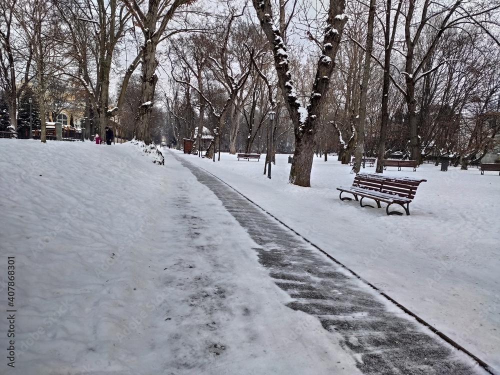 ROMANIA,winter landscape in Park, Bistrita ,January 2021
