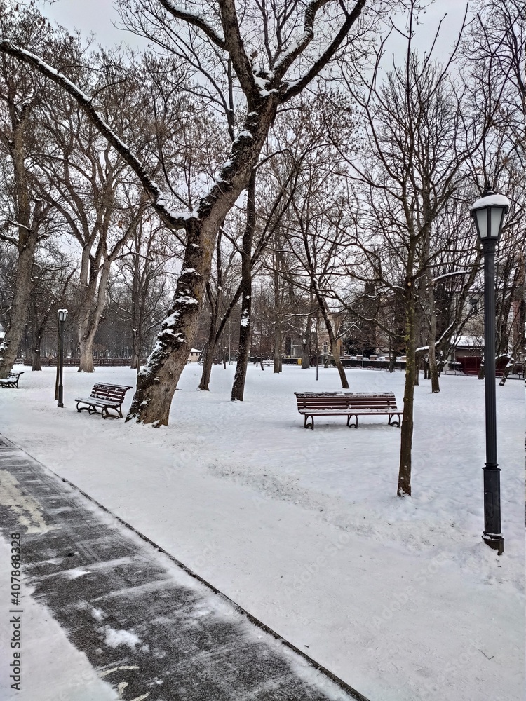 ROMANIA,winter landscape in Park, Bistrita ,January 2021