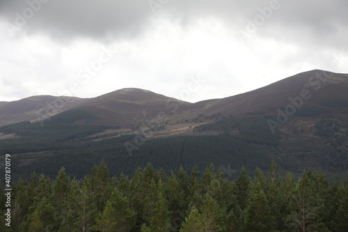 Scotland landscape in the summer