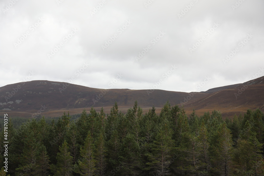 Scotland landscape in the summer