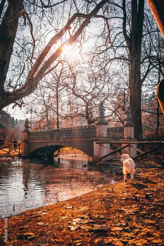 bridge over river
