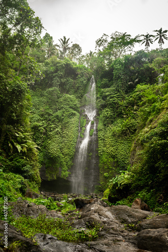 Waterfall and rainforest on Bali Island  Indonesia