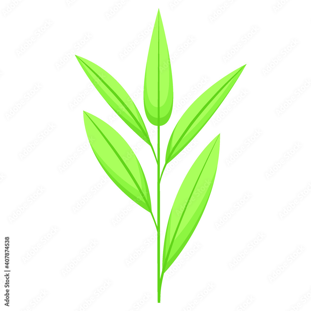 Tea leaf icon. tropical leaf leaf vector icon for web design isolated on white background