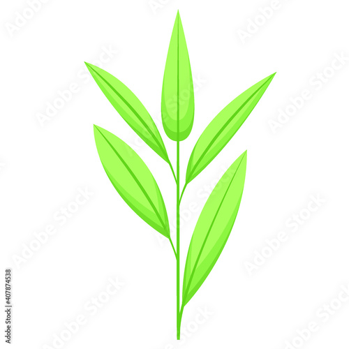 Tea leaf icon. tropical leaf leaf vector icon for web design isolated on white background