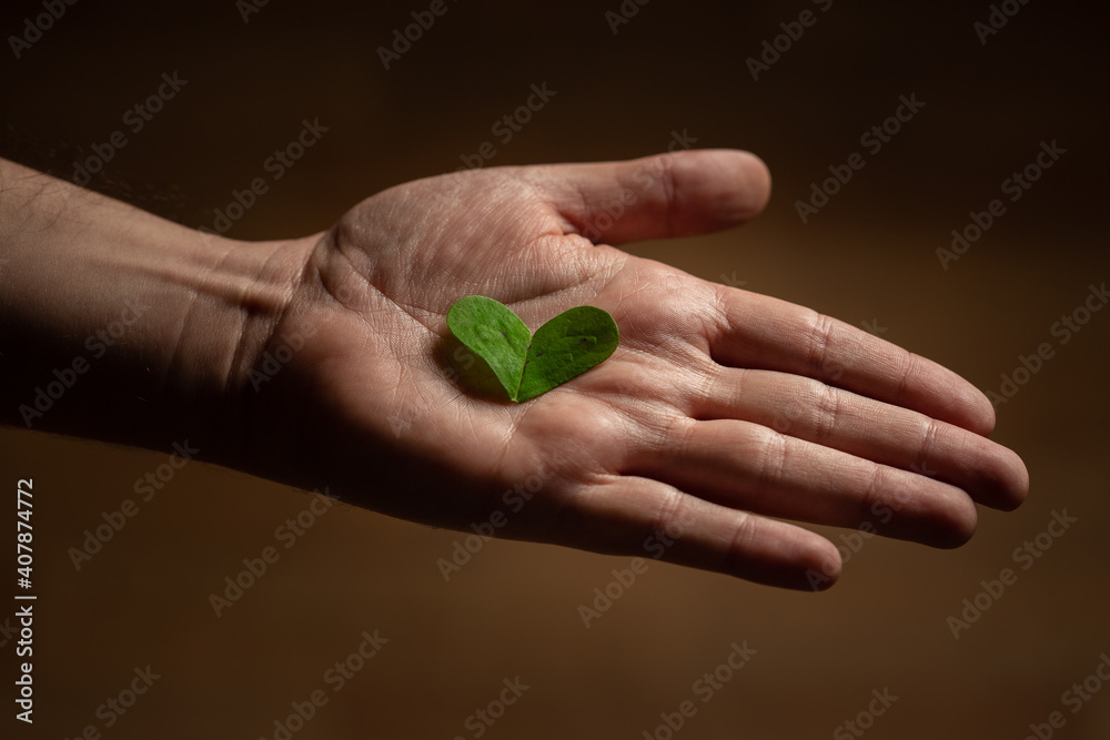 hand holding a heart-shaped piece of a plant leaf hand holding a heart-shaped piece of a plant leaf