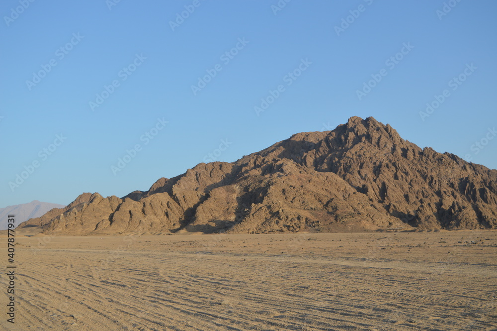 Desert landscape view  