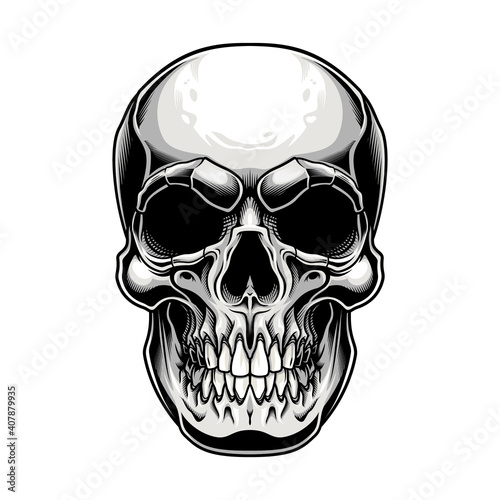 Traditional skull design. Vector illustration of human skull in engraving technique isolated on white background. 