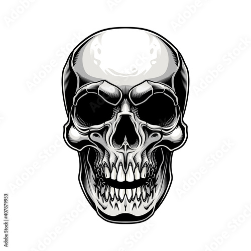 Traditional skull design. Vector illustration of human skull in engraving technique isolated on white background. 