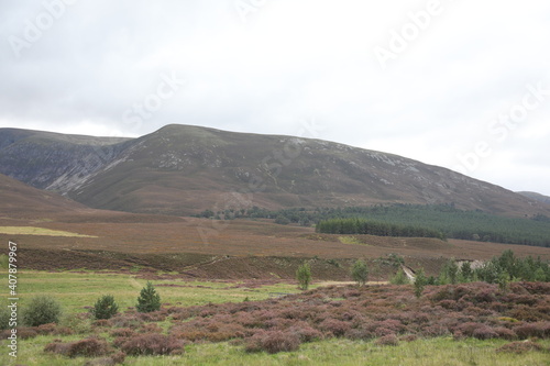 Scotland landscape in the summer