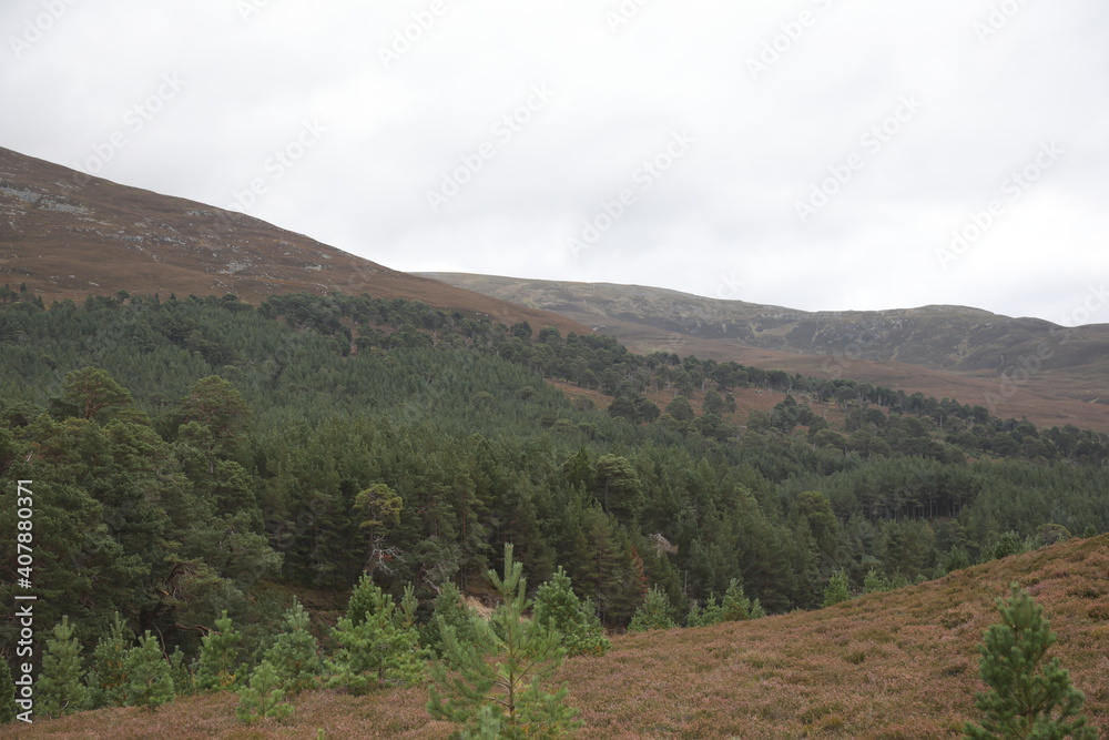 Scotland landscape in the summer Scotland landscape in the summer