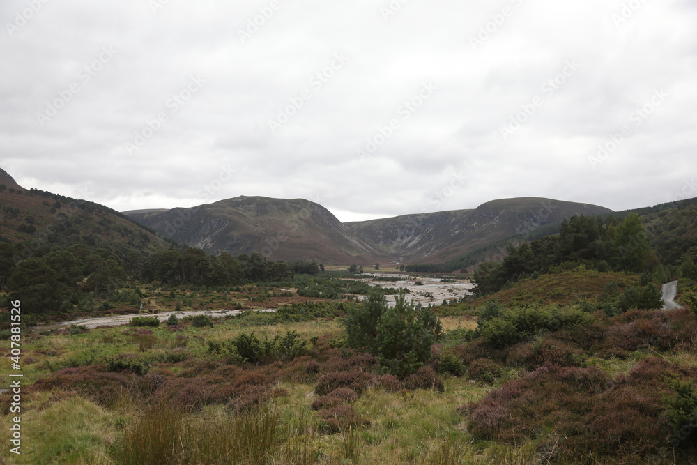 Naklejka premium Scotland landscape in the summer