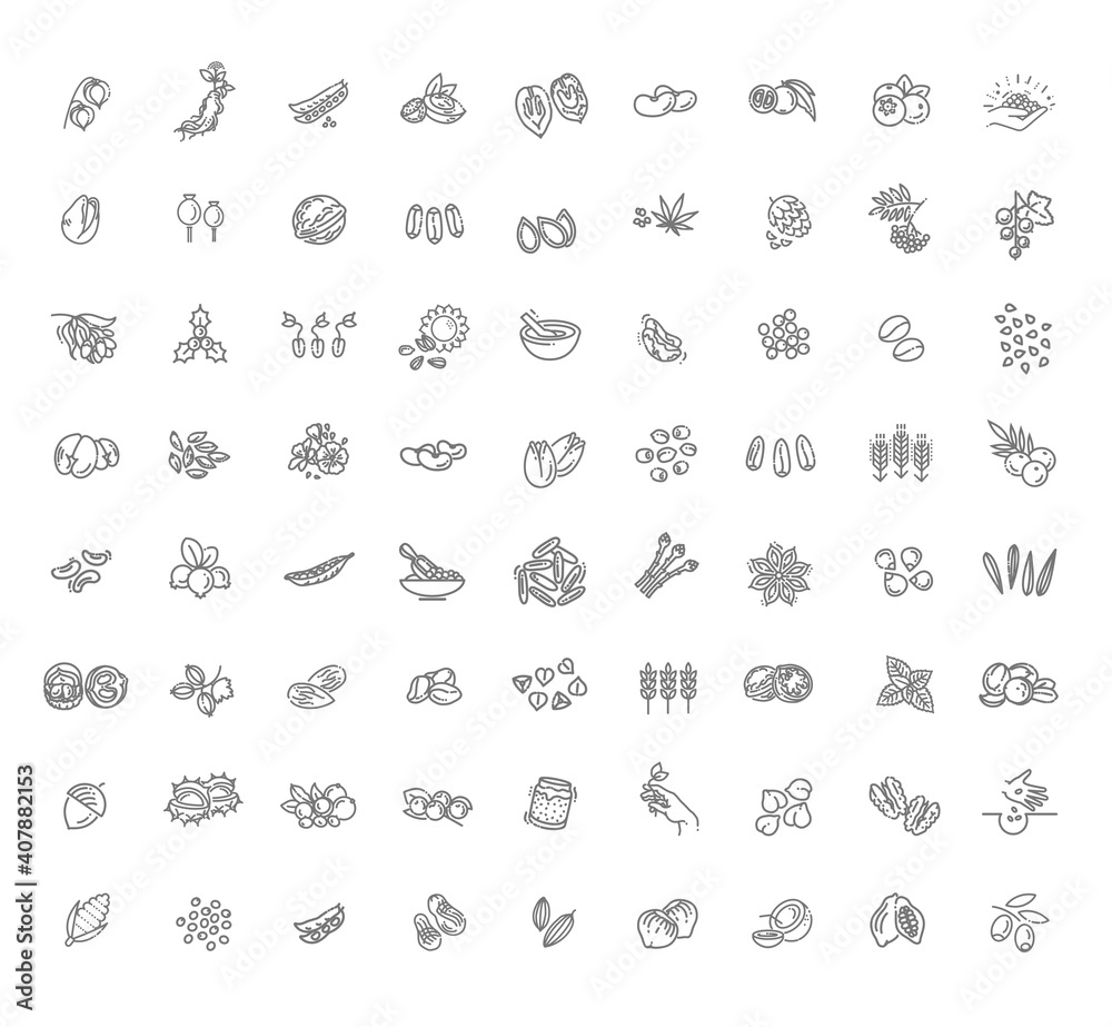 Plant seed, nuts and berries vector icon set Plant seed, nuts and berries vector icon set
