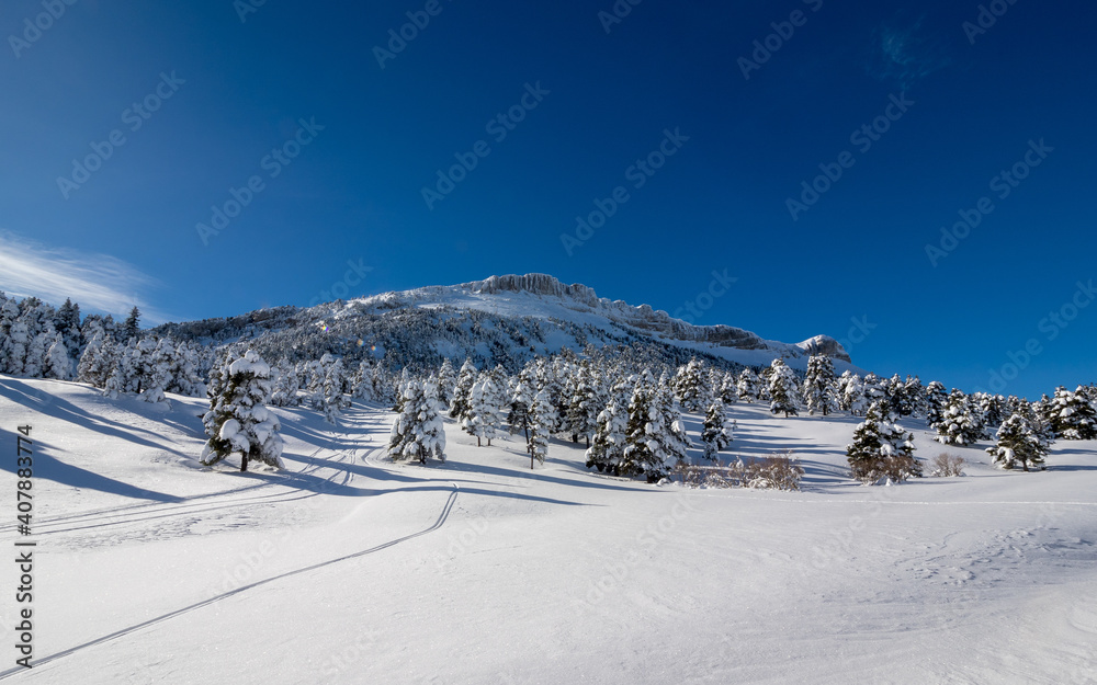 Winter mountain landscape, nature reserve of the Vercors high plateaux, France