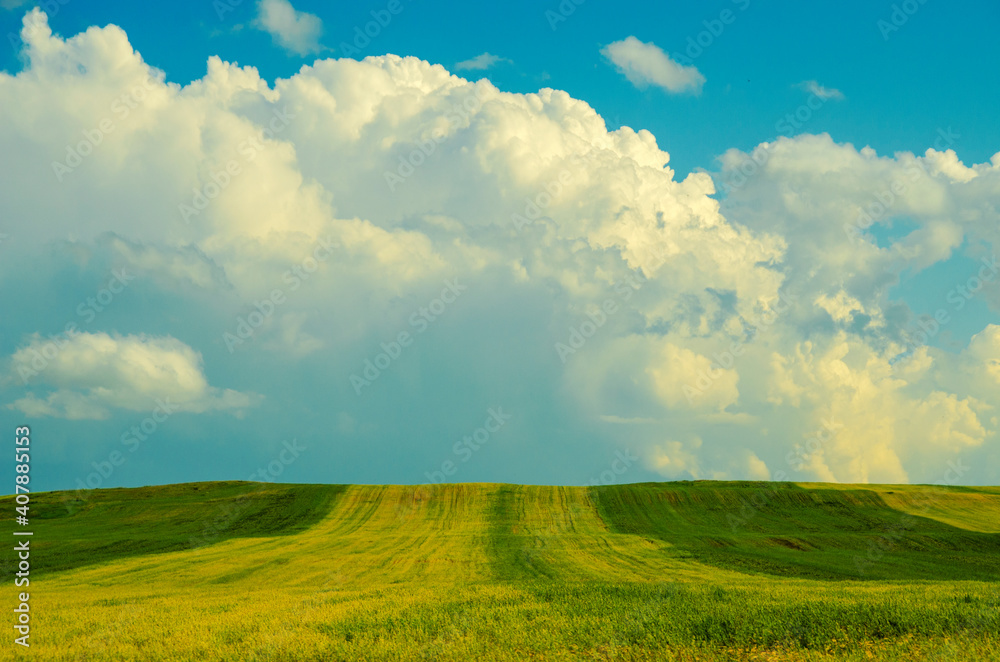 Obraz premium Green grass, sky and clouds